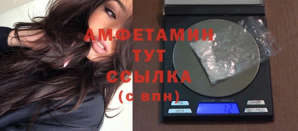 прущие грибы Новокубанск