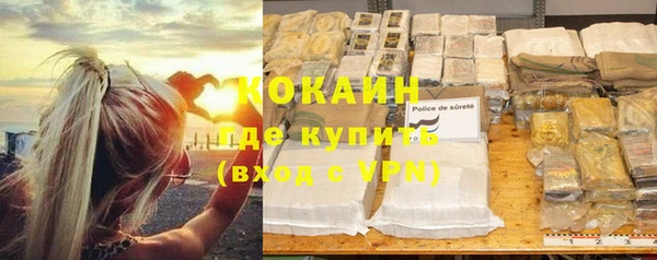 прущие грибы Новокубанск