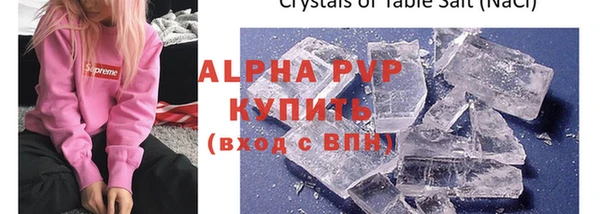 прущие грибы Новокубанск