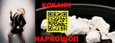 стаф Дубна