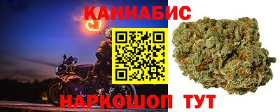 ECSTASY Донской