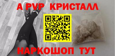 стаф Дубна