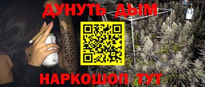 стаф Дубна