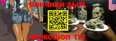 стаф Дубна