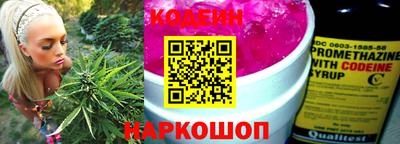 стаф Дубна