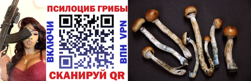 МЕГА маркетплейс  Кудымкар  Галлюциногенные грибы мицелий 
