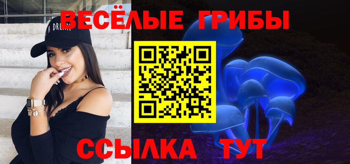Кудымкар  Галлюциногенные грибы GOLDEN TEACHER  где найти наркотики  Вход с VPN  Псилоцибиновые грибы прущие грибы 