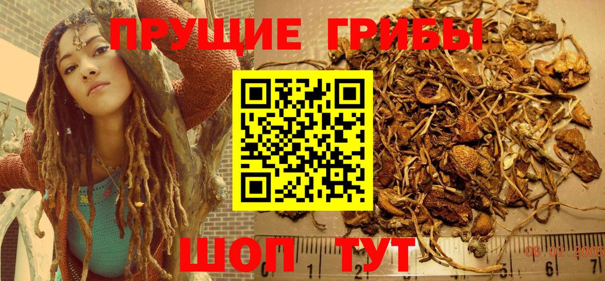 Псилоцибиновые грибы ЛСД  Галлюциногенные грибы мицелий  Кудымкар 