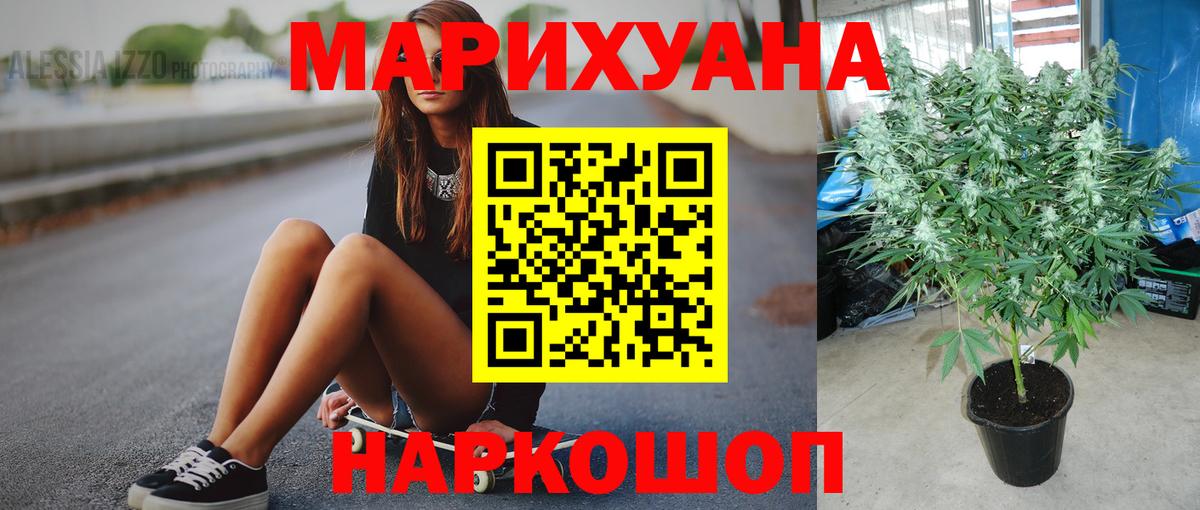 Бошки Шишки планчик  Каннабис OG Kush  Кудымкар  Марихуана AK-47  Вход с VPN 